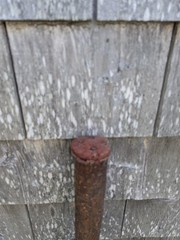 Vintage Handmade Wood Non-Adjustable Crutches Mottled Dark Patina About 48″ Tall