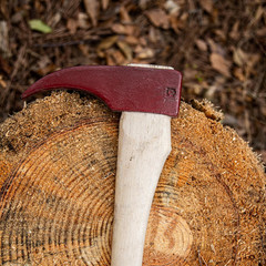 Hookaroon – 1.5 Lb Logging Tool with 36″ Curved Wooden Handle & Forged Steel Hea