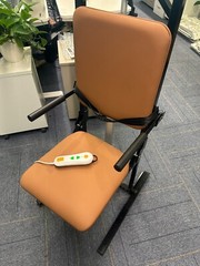 Electric Lift Chair for Elderly 440 LBS Safe Recovery at Home/Care Center