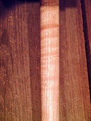 walking cane Bison Horn handle lathe taper figured Hickory shaft MADE IN THE USA