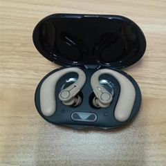 Royal Hearing Bluetooth hearing Aid