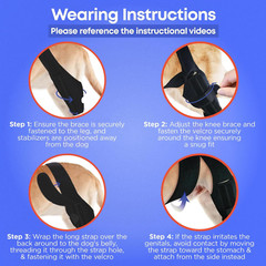 Dog Knee Brace for Torn ACL Pain Relief Support for Front or Hind Leg Large