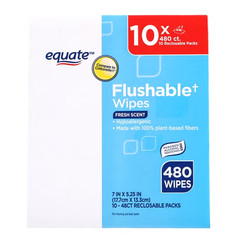 Equate Flushable Wet Wipes, Fresh Scent, 480 Wipes, 10 Pack