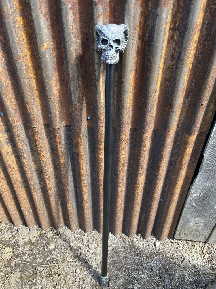 Black Metal Walking Cane with Silver Skull Decorative Handle for Adults