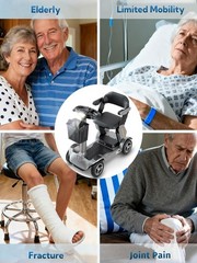 ZIPPYGO Peak 1000W 4-Wheel Electric Mobility Scooter 35-Mile Power Wheelchair US