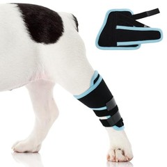 Dog Leg Brace Medium, M（Leg Length 5.5in，Upper Leg Circ 6.7in） Blue
