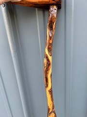 Diamond Willow Wood Cane – 35.5″ & 13 oz. – 100% Satisfaction Guaranteed