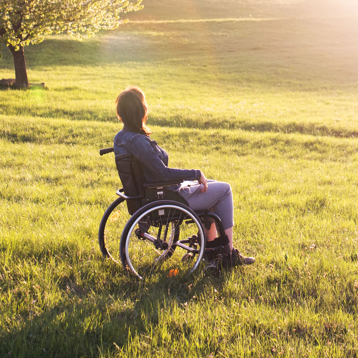 Frau in einem Rollstuhl in einem Feld