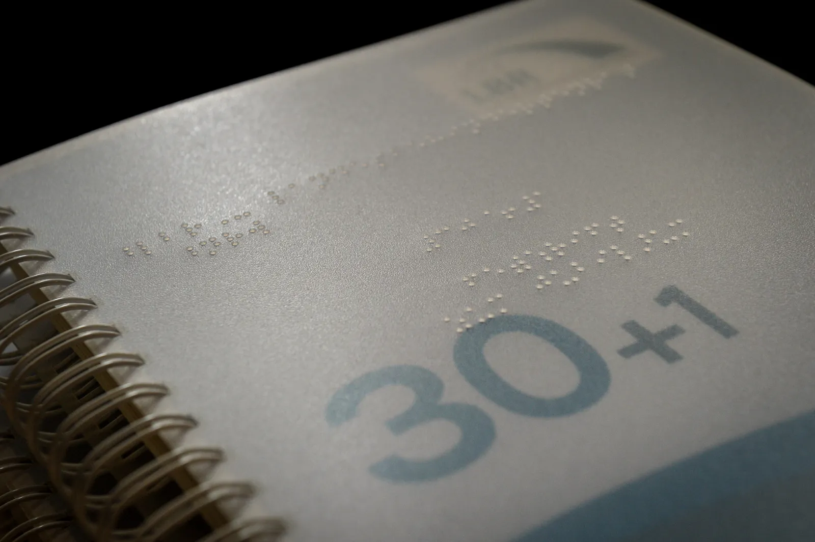 Nahaufnahme des Titels der Festschrift mit dem Schriftzug „30+1“.
